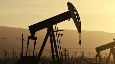 OPEC maintains its forecast for global oil demand growth in 2026.