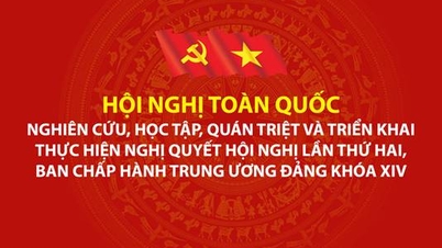 Jawatankuasa Parti Jabatan Kewangan telah menganjurkan penyertaan dalam Persidangan tersebut untuk mengkaji, memahami dan melaksanakan Resolusi Persidangan Kedua Jawatankuasa Pusat Kongres Parti ke-14.