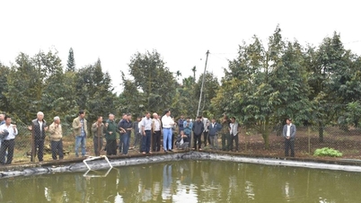 Solutions for crops that are "overwhelmed by drought"