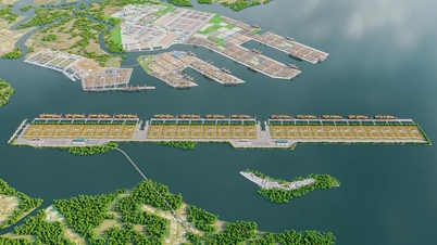 Megahavnen i Can Gio til 5 milliarder dollar har offisielt en investor.