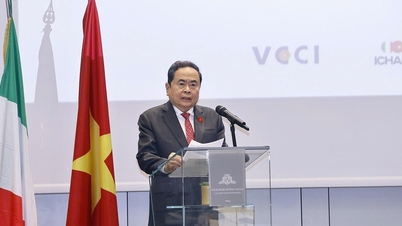 Az üzleti kapcsolatok erősítése Vietnam és Olaszország között.