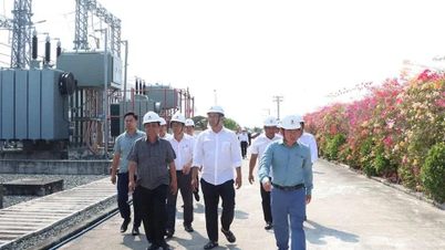 Survey of the agricultural restructuring situation in Go Cong Dong commune and Gia Thuan commune