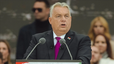 Що сталося після поразки прем'єр-міністра Угорщини Орбана на виборах?