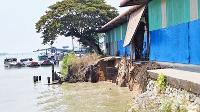Urgent measures needed to address landslides in Vinh Thanh Trung commune.