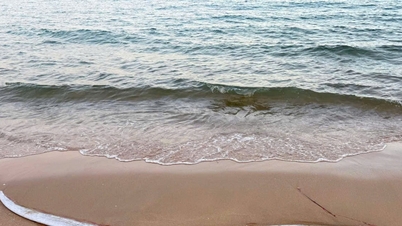 Oarfish are repeatedly washing ashore; what do fishermen and experts say?