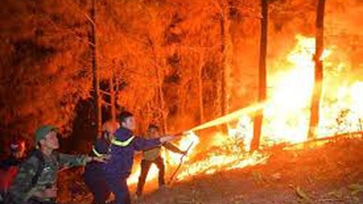 Η προειδοποίηση για κίνδυνο δασικής πυρκαγιάς για την επαρχία είναι σε επικίνδυνα και εξαιρετικά επικίνδυνα επίπεδα από τις 13 Απριλίου έως τις 19 Απριλίου 2026.