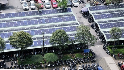 Actively save electricity and move towards sustainable energy use.