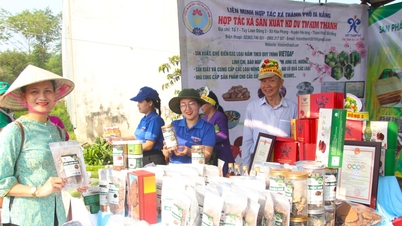Creating momentum to enhance the value of agricultural products.
