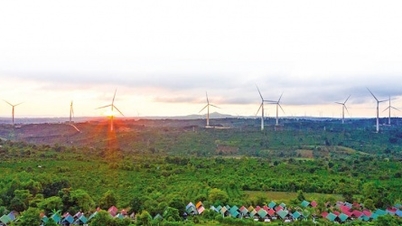 Dak Lak province requests that renewable energy projects be put into operation soon.