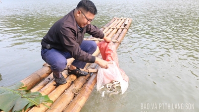 Régénérer les ressources aquatiques
