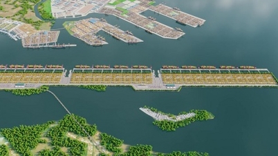 Investors have been selected for the Can Gio International Transshipment Port mega-project.