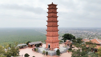 तुओंग लॉन्ग टॉवर के अवशेष के बगल में स्थित पवित्र स्थान में शरण लेना।