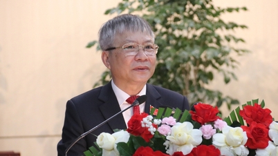 Herr Nguyen Duc Dung omvaldes till ordförande för Da Nangs folkråd.
