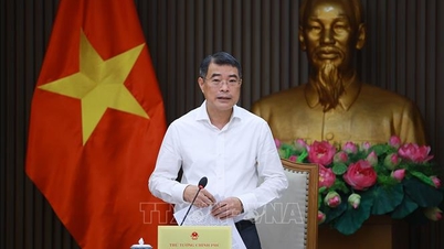 The Prime Minister chaired a meeting of the Government Standing Committee with the Ministry of Health regarding two projects: the Vietnam-Germany Friendship Hospital and the second facility of Bach Mai Hospital.