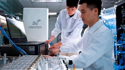 Selecting outstanding graduate students to carry out groundbreaking projects.
