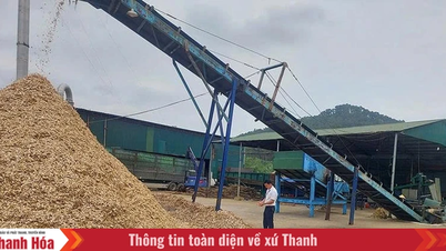 Xuan Du desenvolve a economia florestal e gere as florestas de forma sustentável.
