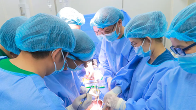 El Hospital General de la ciudad de Can Tho realizó con éxito su primer trasplante de riñón.