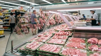 Fläskpriser idag, 14 april: Priserna på kylt fläskkött förblir stabila, priserna på levande grisar i Ho Chi Minh-staden ligger kvar på 69 000 VND/kg.