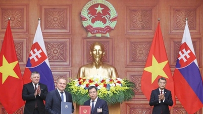 Vietnam és Szlovákia megerősíti együttműködését a nemzeti minőségi infrastruktúra területén.