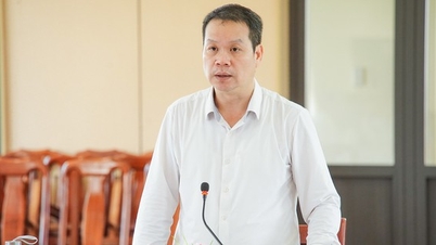 El Sr. Nguyen Manh Hung ostenta el cargo de Presidente del Comité Popular de la ciudad de Da Nang.