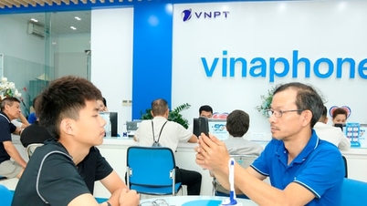Компании VinaPhone, MobiFone и Viettel предоставляют рекомендации по стандартизации проверки информации об абонентах.