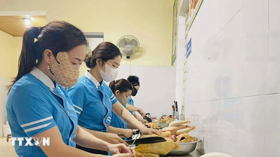 Ho Chi Minh-staden: 317 skolor skriver under åtagande om livsmedelssäkerhet i skolor.