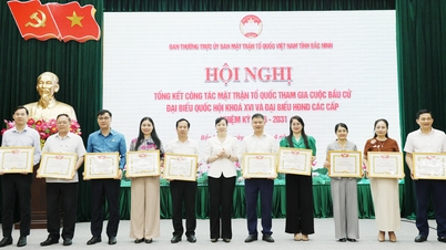 Bac Ninh összefoglalja a Vietnami Hazai Front munkáját a 16. Nemzetgyűlés képviselőinek és a minden szintű Népi Tanácsok képviselőinek választásán való részvételben.
