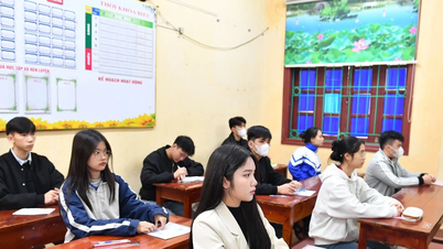 Tuyen Quang megerősíti a diákok beiratkozásának egyszerűsítését a 2026-2027-es tanévre.