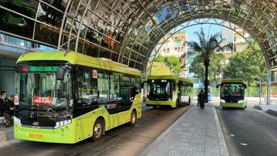 Ho-Chi-Minh-Stadt: Prüfung von Vorschlägen zur Abschaffung der Fahrpreise auf 135 Buslinien und zur Befreiung von Hafeninfrastrukturgebühren.