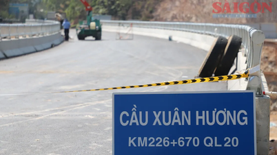 The Xuan Huong Bridge on Mimosa Pass is ready for use.