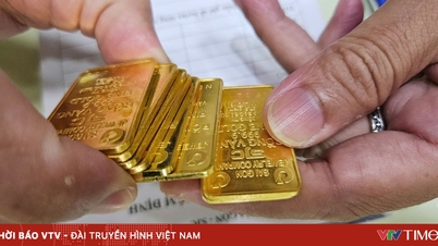 ارتفعت أسعار الذهب بمقدار 1.5 مليون دونغ فيتنامي لكل تايل.