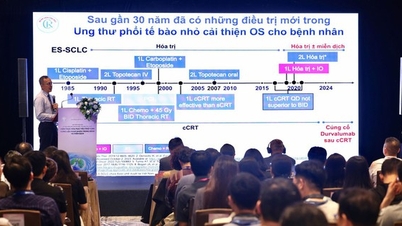 Multidisciplinary consultation: A new standard, a new hope for cancer patients.