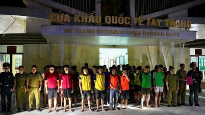 Authorities dismantled a transnational high-tech fraud ring, arresting 55 suspects.