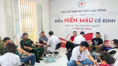 Sebanyak 162 unit darah disumbangkan ke Rumah Sakit Umum Provinsi Lam Dong.