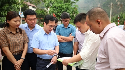 Survey on the progress of resolving petitions from households in Pha Lac village, Chi Lang commune.