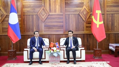 Nghe An eyaletinin liderleri, Khammouane eyaletindeki geleneksel Bunpimay festivalini ziyaret ederek yeni yıl tebriklerini iletti.