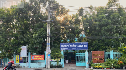 হো চি মিন সিটি দেশব্যাপী স্বাস্থ্য পরীক্ষা পরিচালনা করতে প্রস্তুত।