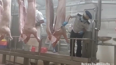 Ninh Binh: Reforzando el control sobre el sacrificio de animales.