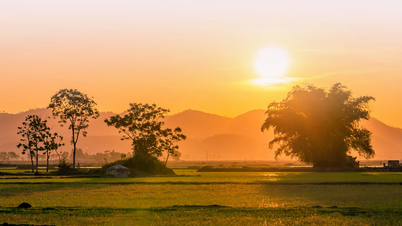 In the countryside on an evening, the sound of birds calls back to memories.