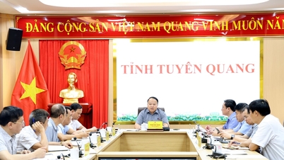 Tuyen Quang: Arra törekszünk, hogy 2027 második negyedévének végére befejezzük a nemzeti villamosenergia-hálózathoz nem tartozó falvak áramellátását.