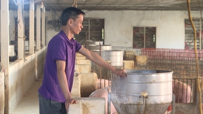 តម្លៃសាច់ជ្រូកនៅក្រុងហៃផុងបានធ្លាក់ចុះ។