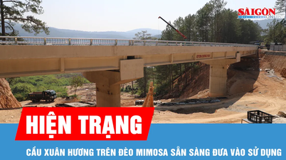 En närbild av Xuan Huong-bron på Mimosa-passet innan den togs i bruk.