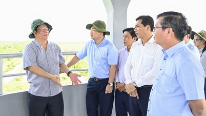 Der Vorsitzende des Provinzvolkskomitees, Ho Van Mung, besichtigte mehrere Projekte in den Gemeinden An Bien und Tan Thanh sowie im Nationalpark U Minh Thuong.