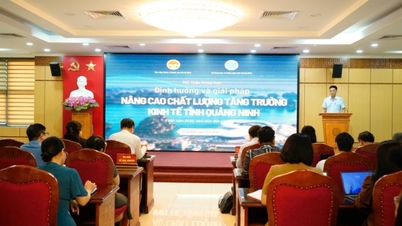 Scientific workshop on orientation and solutions to improve the quality of economic growth in Quang Ninh.