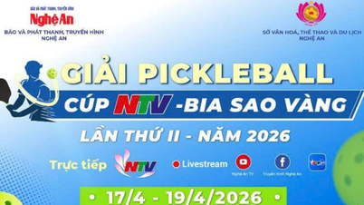 NTV Pickleball Kupa - Sao Vang Beer 2026: A vonzó nyereményalap növelése a torna kezdete előtt.