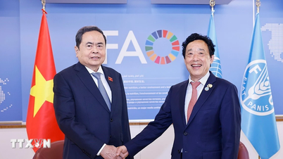 นายเจิ่น ทันห์ มัน ประธานสภาแห่งชาติ พบกับอธิบดีองค์การอาหารและเกษตรแห่งสหประชาชาติ (FAO)