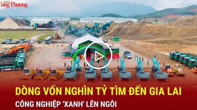 Biljoner dong i investeringar flödar in i Gia Lai: Gröna industrier står i centrum.