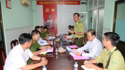 Inspecting forest fire prevention and control work at the Go Thap historical site.