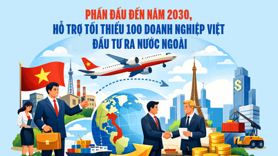 Amaç, 2030 yılına kadar en az 100 Vietnamlı işletmenin yurt dışına yatırım yapmasını desteklemektir.
