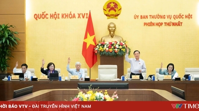 Proposal to establish Dong Nai city as a centrally-governed city from April 30th.